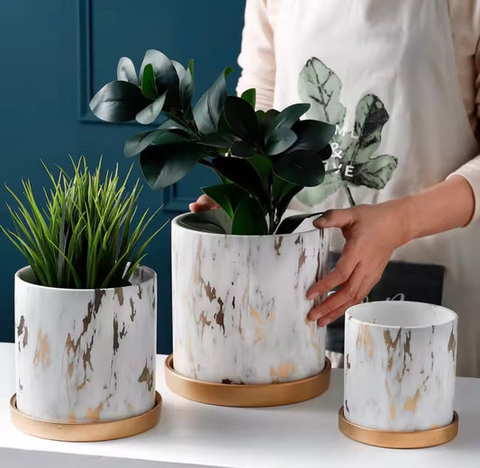 ElegantVein Plant Holders