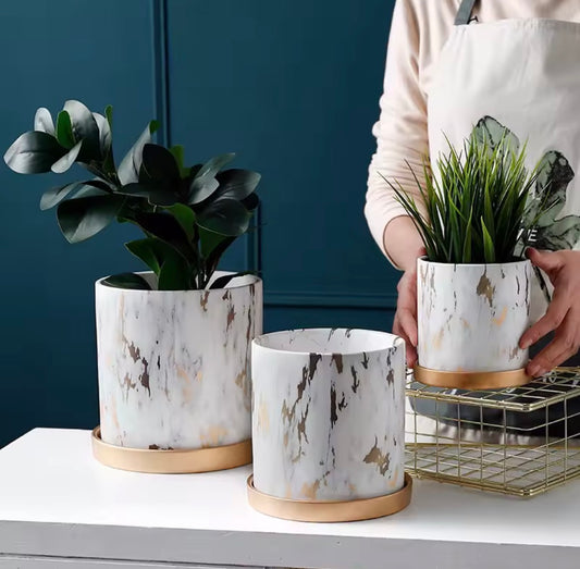 ElegantVein Plant Holders